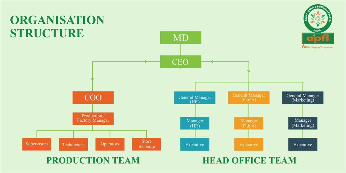 Organisation Structure