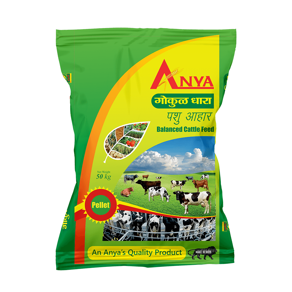 Cattle Feed