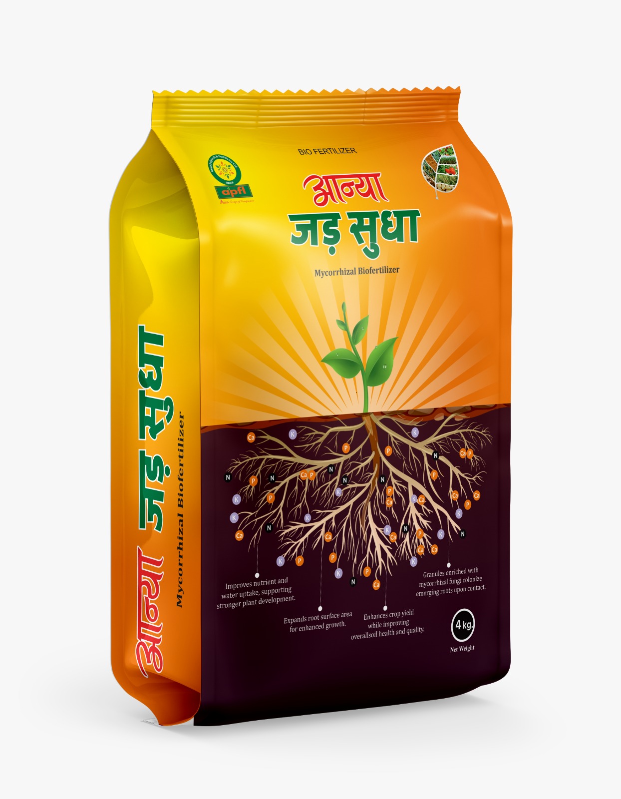 Mycorrhizal biofertilizer
